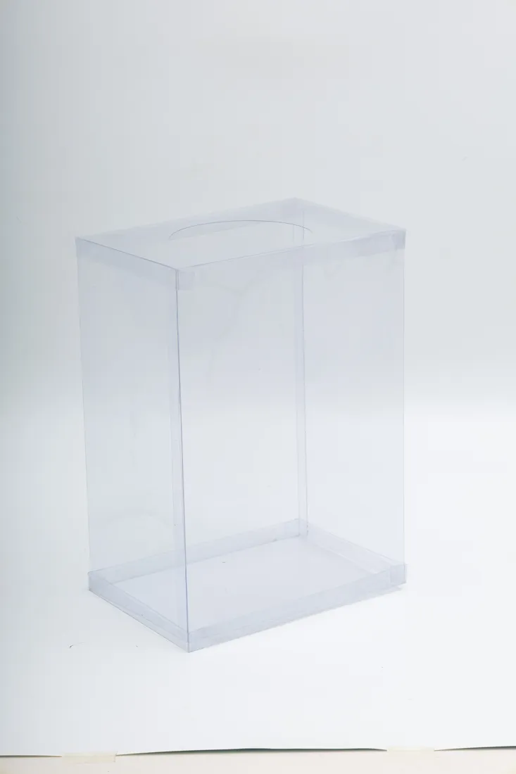 BinWin clear PVC bin, empty